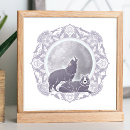 Buscar enero posters Para todos