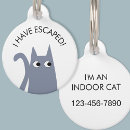 Buscar gris gato accesorios Adorable