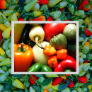 Buscar tomates postales Cebolla