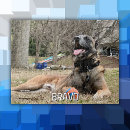 Buscar perros puzzles 9 º gata