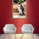 Buscar pingüino posters General y unisex