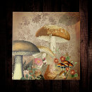 Buscar setas azulejos Cottagecore