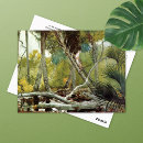 Buscar jungle postales Palmeras