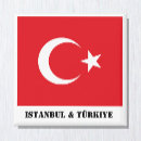 Buscar turquia imanes Pavo