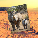 Buscar rinocerontes postales Para todos