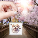Buscar cachorro llaveros Perro