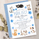 Buscar cats invitaciones 9 º gata