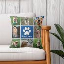 Buscar fotos del perro cojines Azul