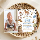 Buscar caballo salvaje invitaciones Para niños