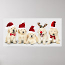 Buscar nariz de perro posters General y unisex