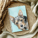 Buscar yorkie fotografía Amante del perro