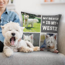 Buscar westies cojines Perros
