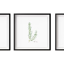 Buscar cocinas posters Cocinero