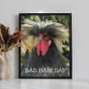 Buscar granja de pollo posters General y unisex