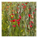 Buscar amapolas abstractas posters Para todos