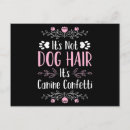 Buscar groomer postales Perros