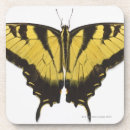 Buscar mariposa posavasos Bonito