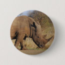 Buscar rhino chapas Animales