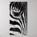 Buscar extracto posters Animal