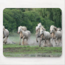 Buscar jim electronica Caballo