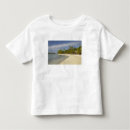 Buscar fiji island camisetas Bure