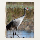 Buscar fauna agendas Pájaro