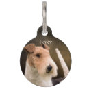 Buscar terrier mascotas Perro