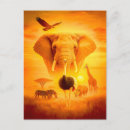 Buscar animales africanos postales Rinoceronte