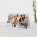 Buscar raza del caballo tarjetas Granja
