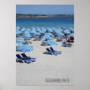Buscar maltés posters Playa
