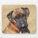 Buscar brindle alfombrillas de raton Perro