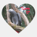 Buscar loro gris pegatinas Africano