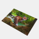 Buscar critter decoracion Zorro