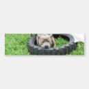 Buscar staffordshire bull terrier pegatinas parachoque Perro