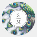 Buscar pavo pegatinas Para ellos