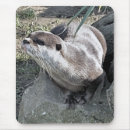 Buscar sea otter alfombrillas de raton Naturaleza