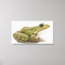Buscar reptil lienzos Animal
