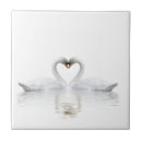 Buscar pájaros elegantes azulejos Cisnes