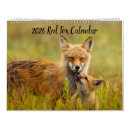 Buscar zorro rojo calendarios 6 º zorra