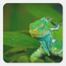Buscar eco pegatinas Verde