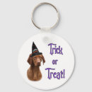 Buscar vizsla accesorios Canina