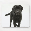 Buscar labrador retriever alfombrillas de raton Lindo
