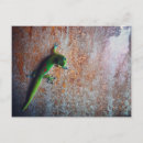Buscar gecko verde postales Lindo
