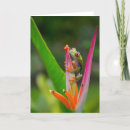 Buscar rana tarjetas Verde