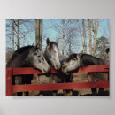 Buscar caballos andaluces posters Animales