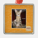 Buscar idiota adornos Puedo tengo cheezburger