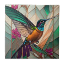 Buscar colibrí azulejos Pájaro
