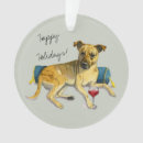 Buscar brindle Perro