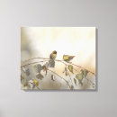 Buscar colibrí lienzos Naturaleza