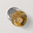 Buscar rock chapas General y unisex